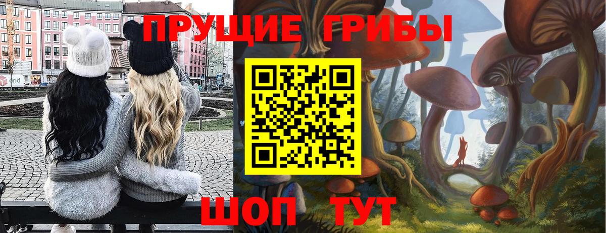Псилоцибиновые грибы Cubensis Артёмовский