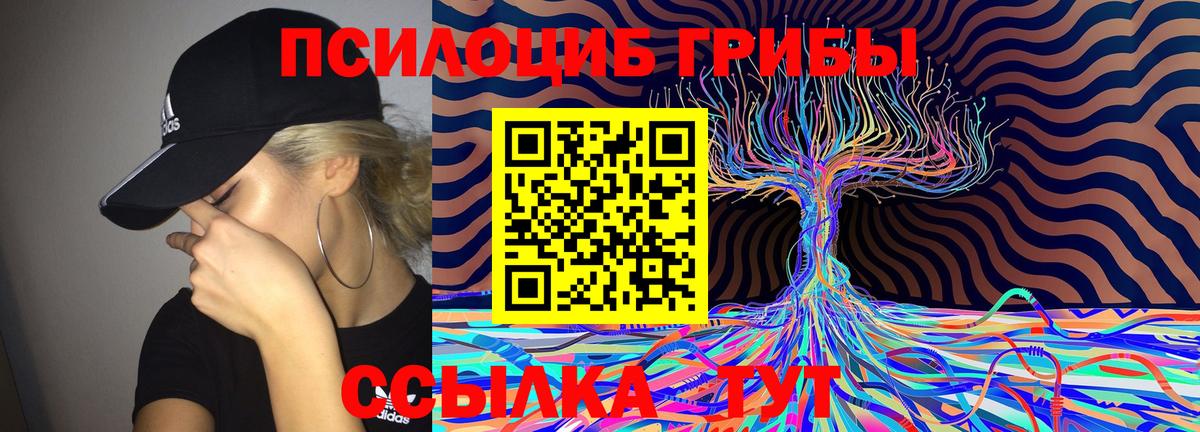 Галлюциногенные грибы MAGIC MUSHROOMS  Вход с VPN  Артёмовский 
